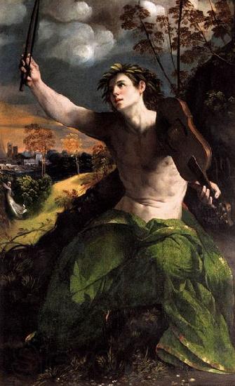 Dosso Dossi Apollo and Daphne Spain oil painting art
